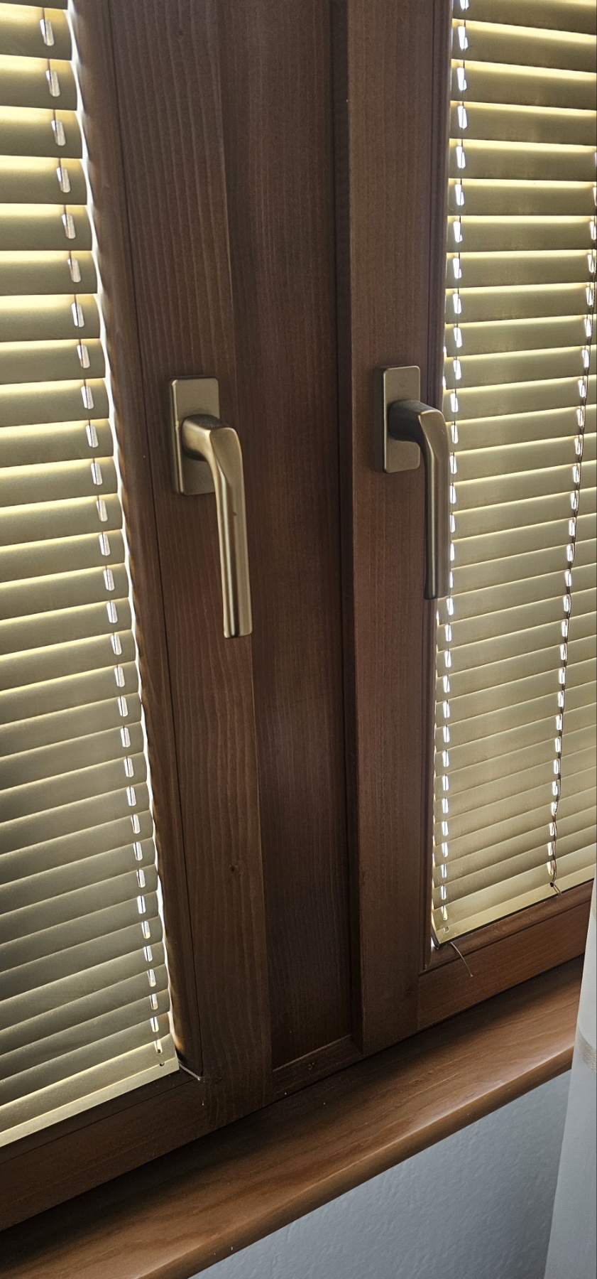 Aluminijumski venecijaneri ugrađeni između stakla drvenih prozora